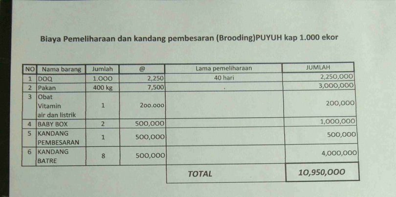 Modal pelihara puyuh