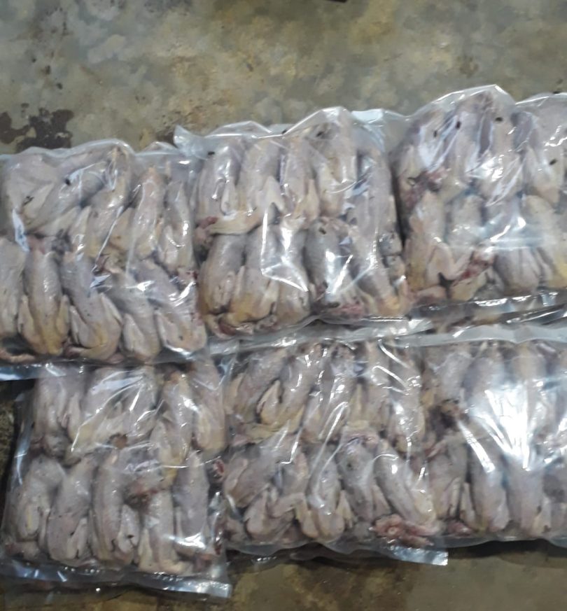 daging burung puyuh