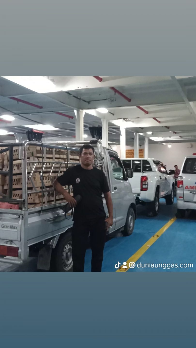 Pengiriman DOC AKA